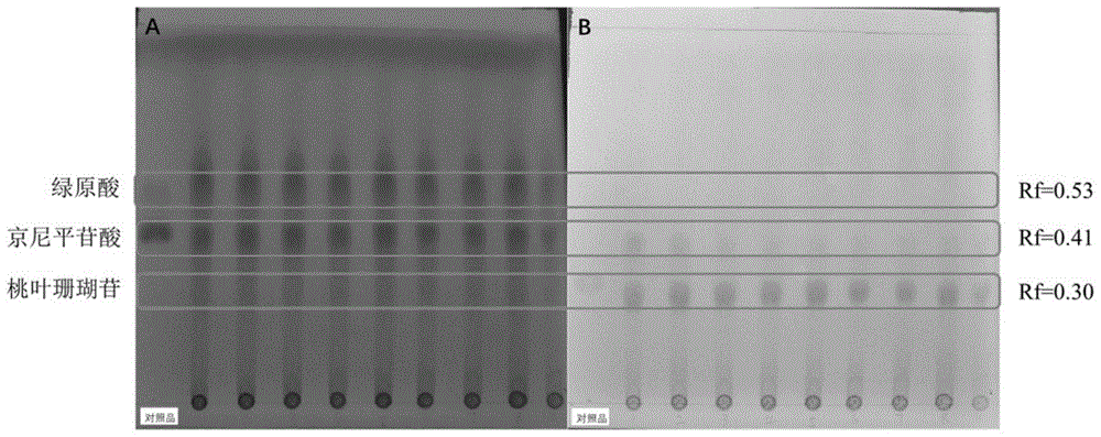 一種利用薄層色譜快速鑑別杜仲葉和皮三種活性成分的方法與流程