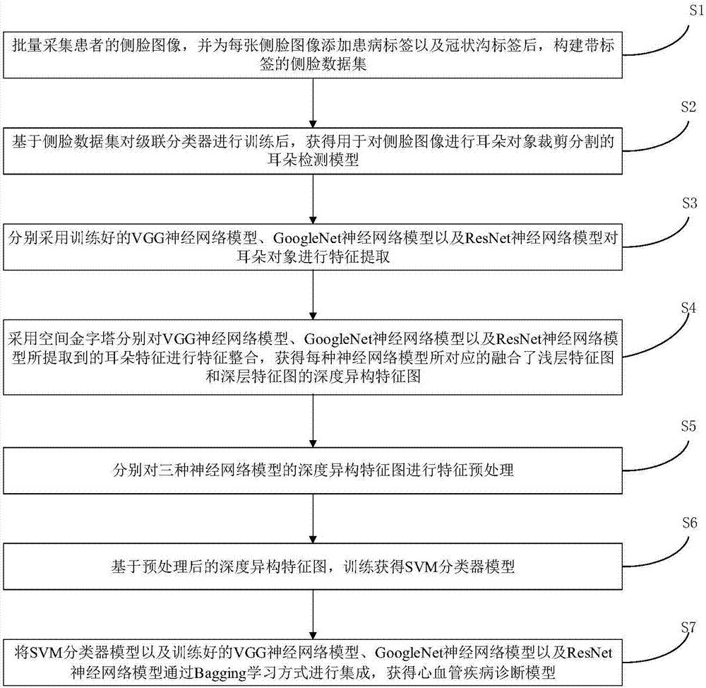 一种心血管疾病诊断模型的构建方法、系统及该诊断模型与流程