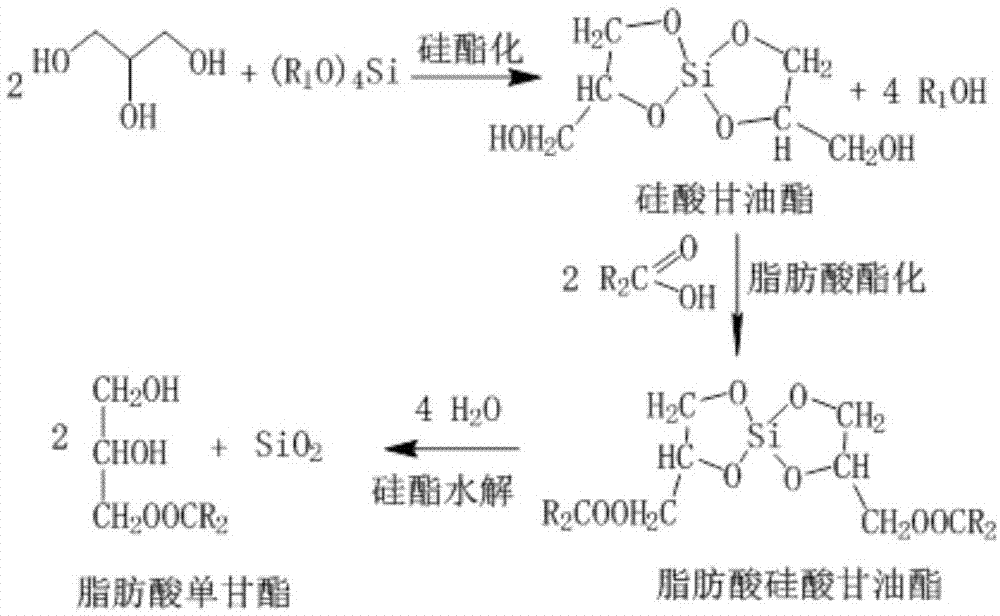 一種高選擇性合成長鏈脂肪酸單甘酯的方法與流程