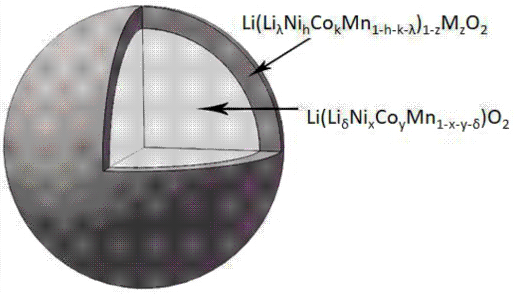 核壳结构示意图图片