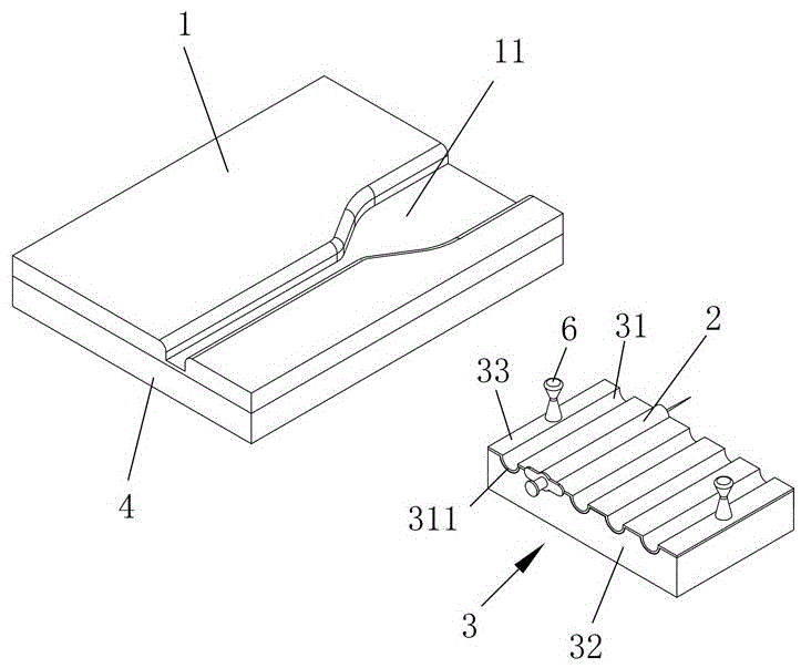 一种小鼠脊柱结核模型构建平台的制作方法