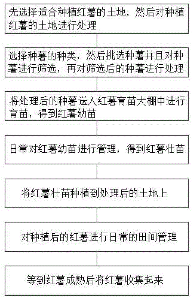 一种红薯种植方法与流程