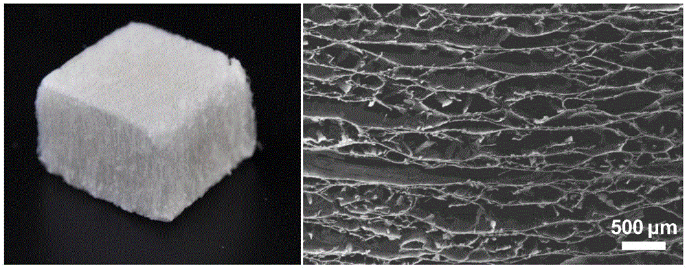 一种各向异性木基纳米纤维气凝胶及其制备方法与流程