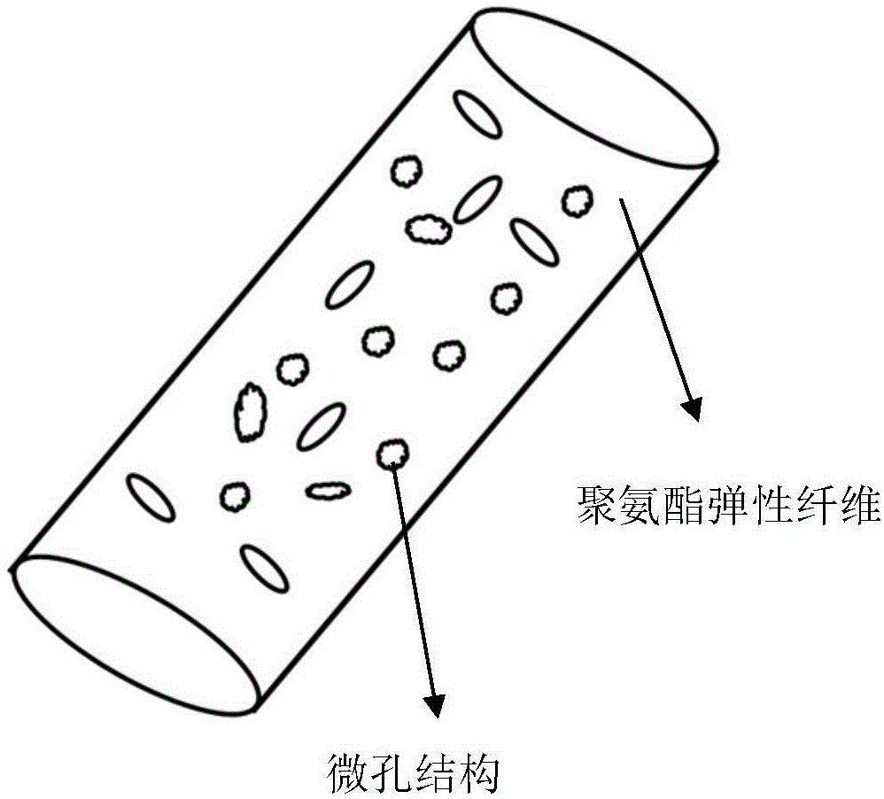 弹力纤维结构图图片