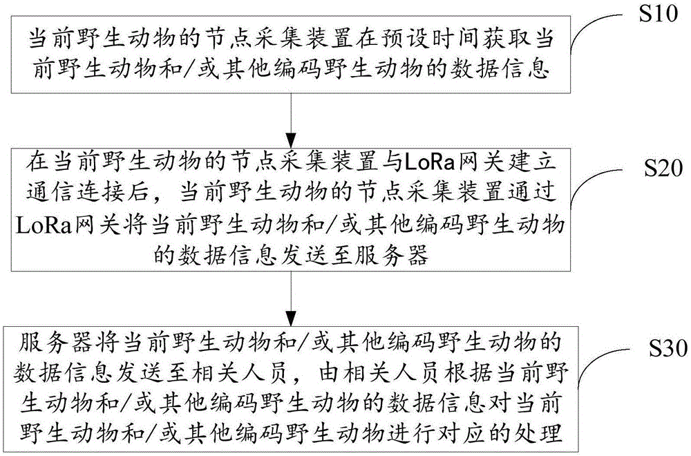 基于lora的野生动物保护跟踪方法及系统与流程