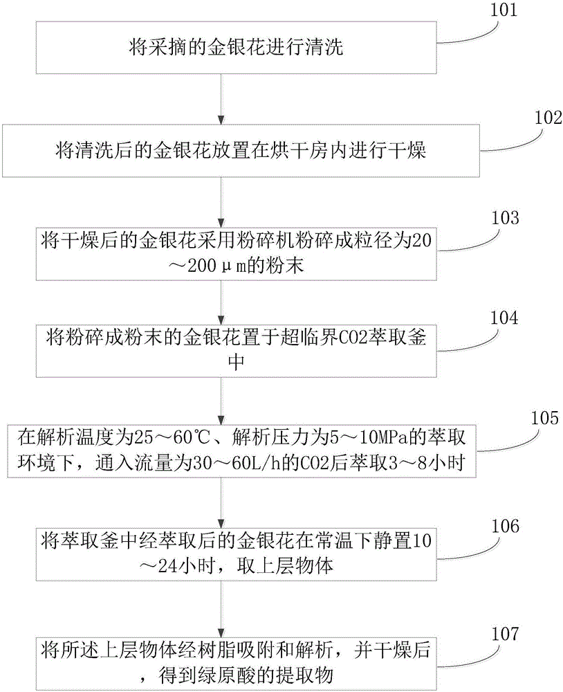 绿原酸提取工艺图片