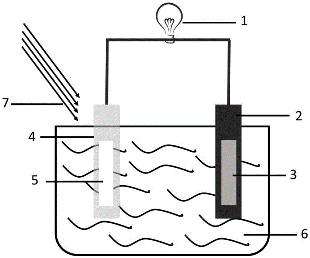 一种太阳光助海水电池及制备方法与流程