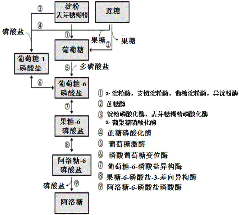 糖的制作过程思维导图图片