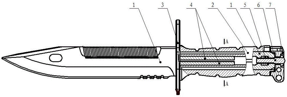 刺刀卡笋结构图图片