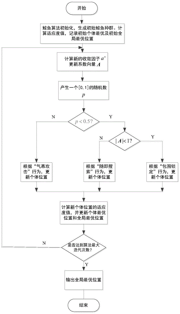 鲸鱼机器人流程图编程图片