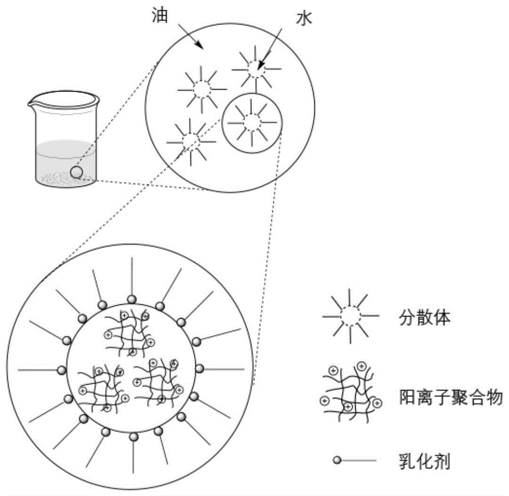 一种交联网状结构的反相聚合物乳液及其在污泥脱水上的应用的制作方法