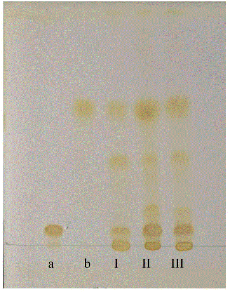 尖叶假龙胆的薄层色谱鉴别方法与流程