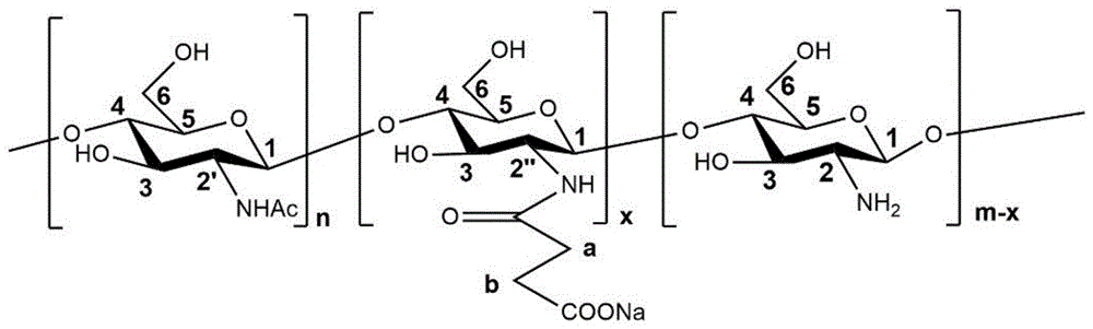 一种n-琥珀酰基壳聚糖c-6选择性氧化衍生物及其制备方法和应用与流程