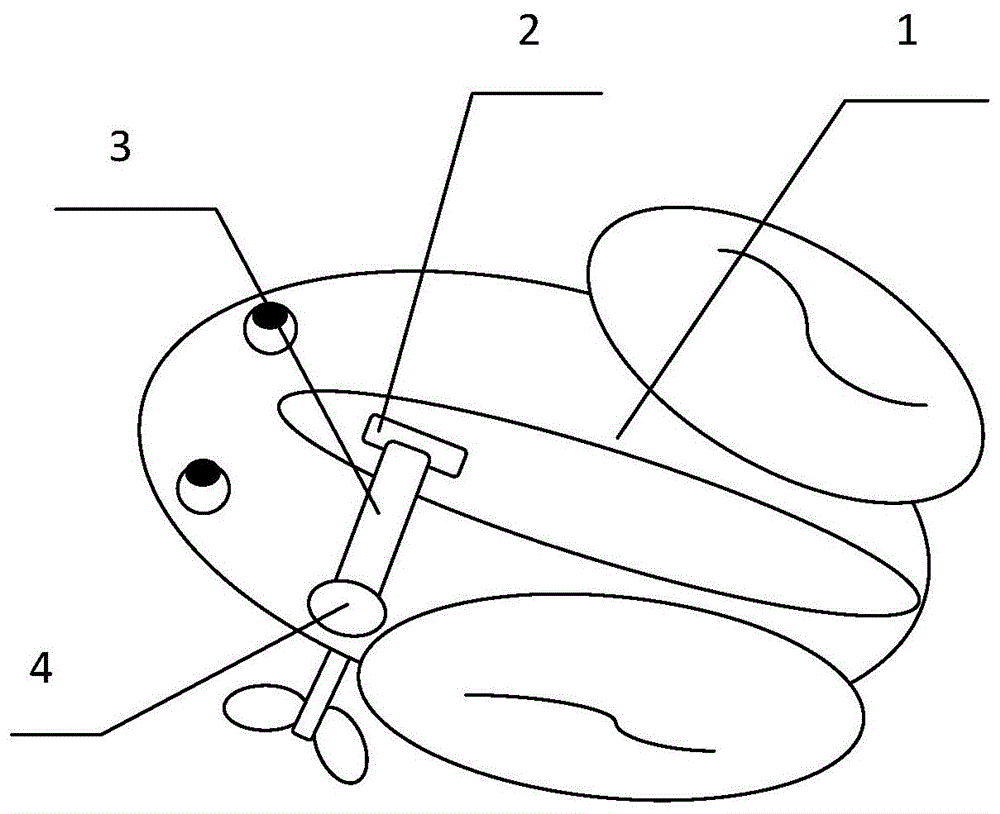 铁皮青蛙简笔画图片