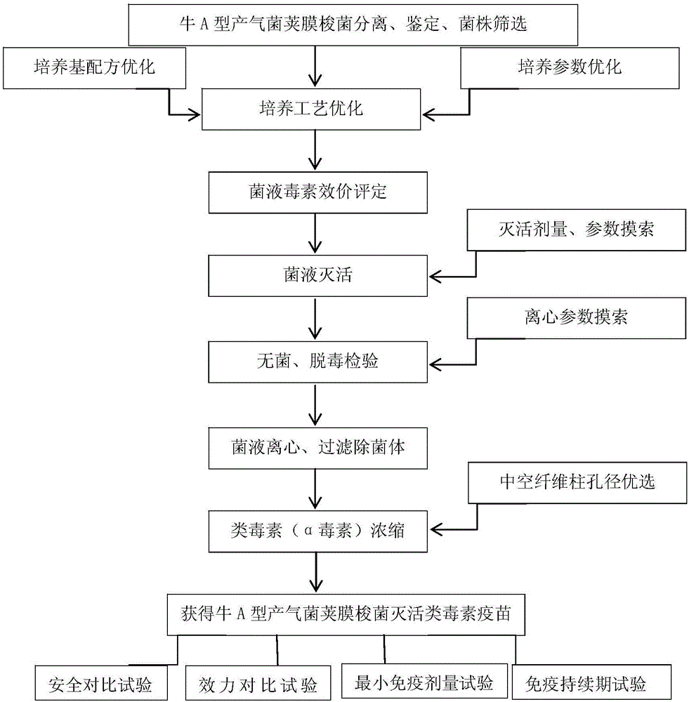 牛a型產氣莢膜梭菌滅活類毒素疫苗及其製備方法與流程