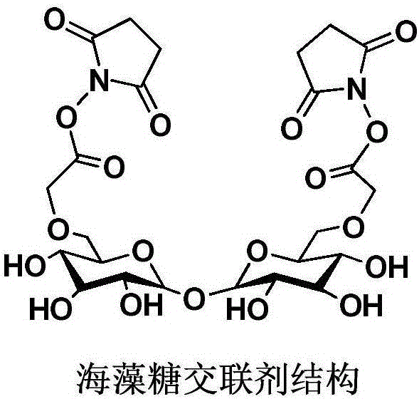 糖為骨架結構的不具有富集功能的化學交聯劑;另一類是以麥芽糖,纖維二