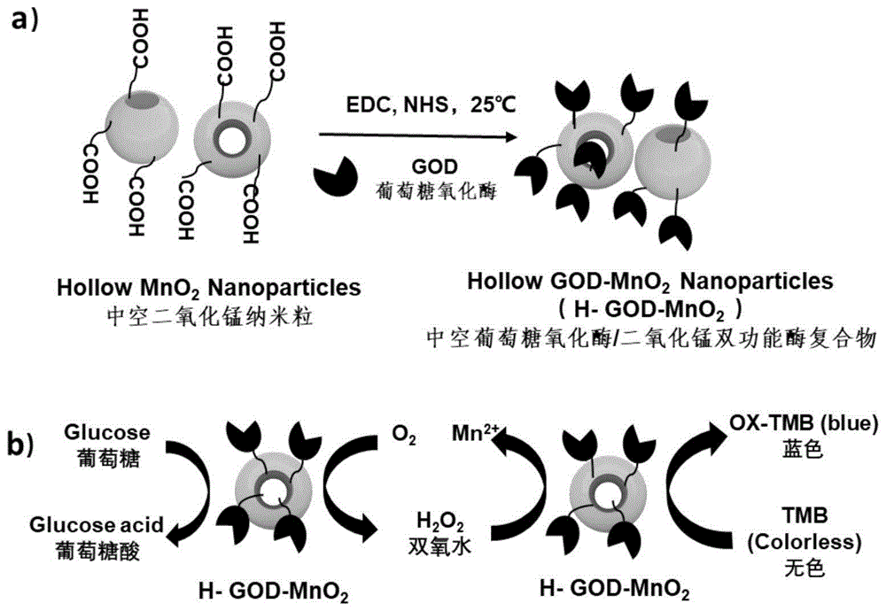 一种基于葡萄糖氧化酶/中空二氧化锰的双功能酶复合物及制备方法与