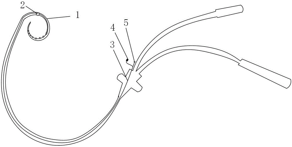 环纹导管结构图图片