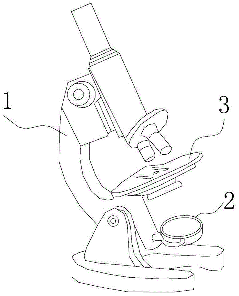显微镜结构图手绘图片