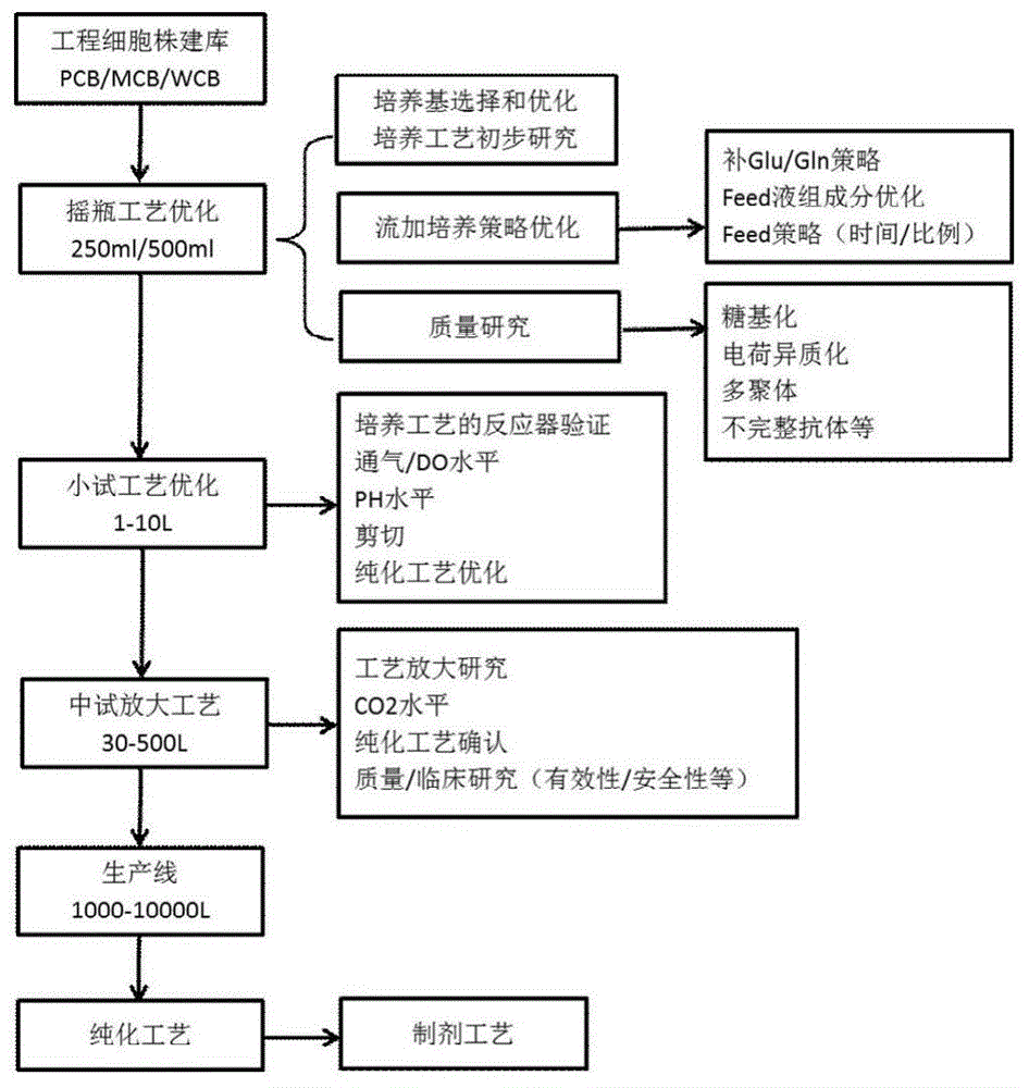 一种抗egfr全人源化单克隆抗体的纯化工艺的制作方法