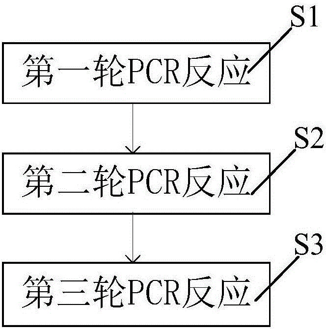 一種用於基因組步移的步移引物及其應用的pcr方法與流程