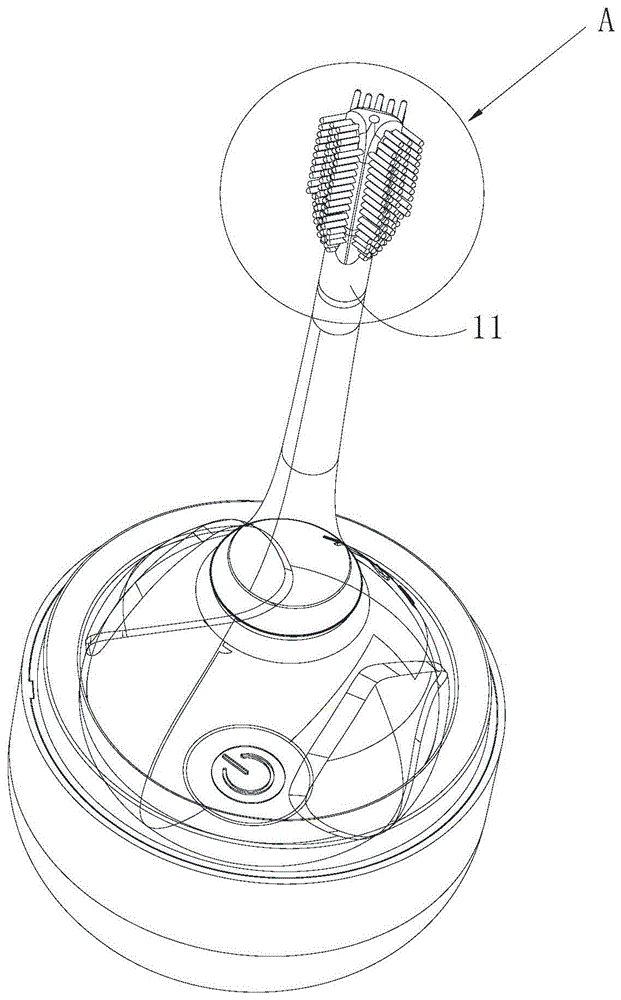 电动牙刷刷头结构图片