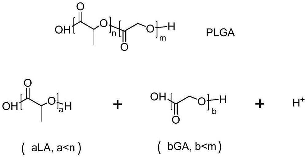 一种抑制plga微球中多肽类药物酰化副反应的方法与流程