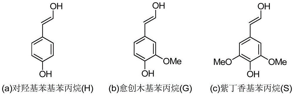 木质素金属盐及其制备方法与应用与流程