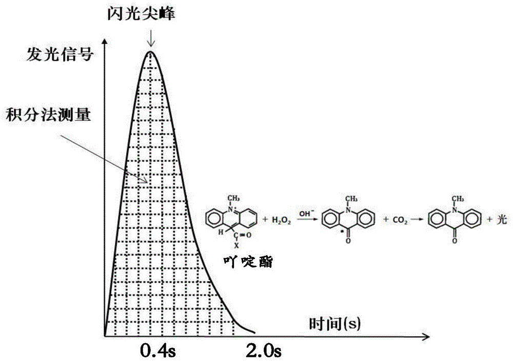 一種基於吖啶酯化學發光,鏈黴親和素磁珠-生物素放大反應體系及檢測