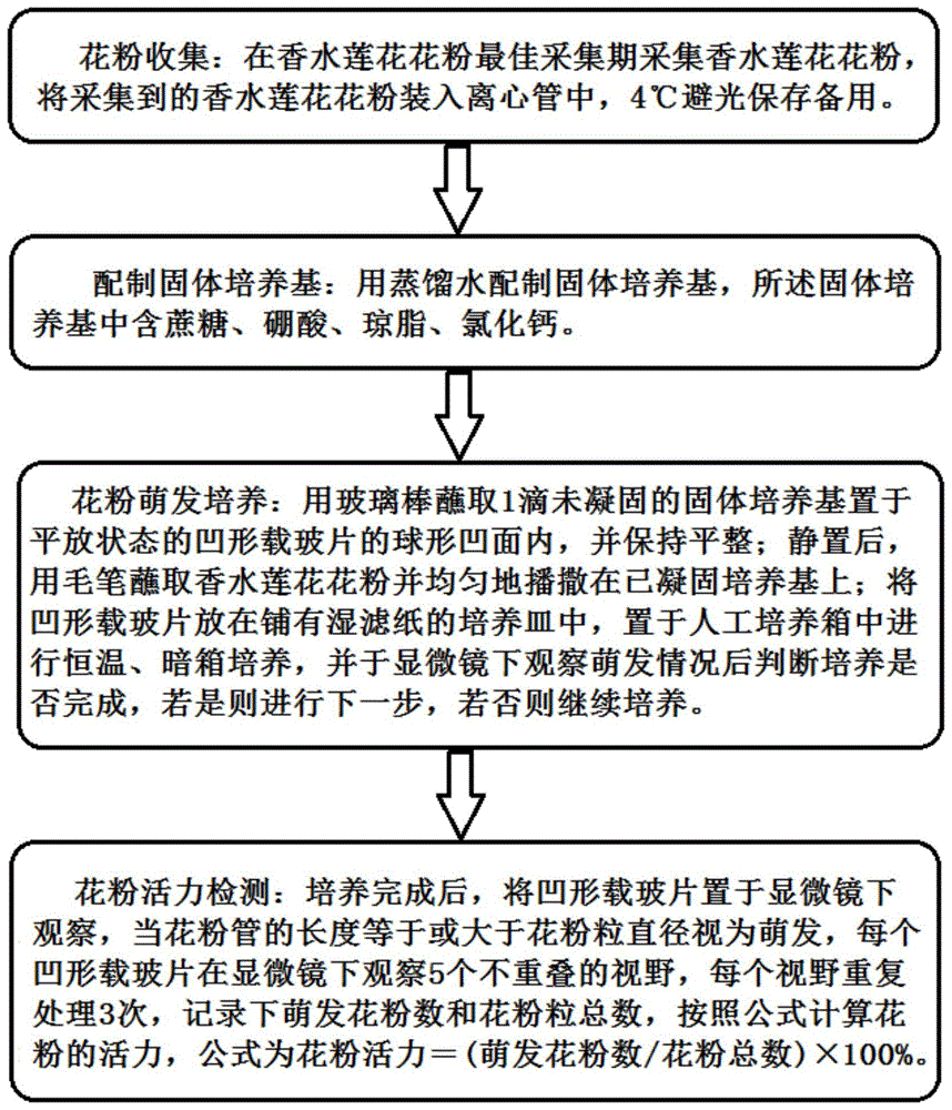 一种香水莲花花粉活力的检测方法与流程