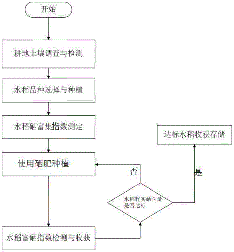 一种控制硒含量的富硒水稻种植方法与流程