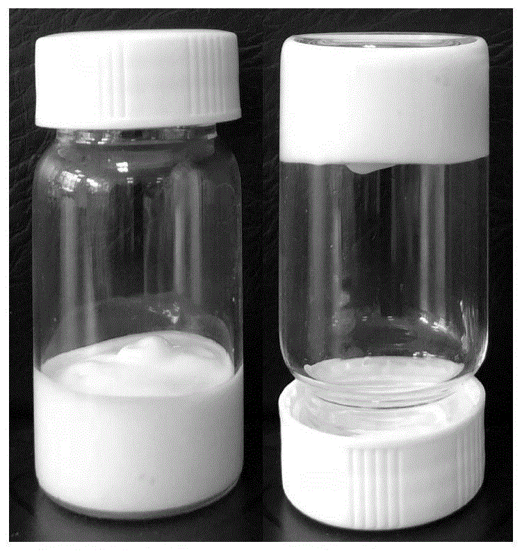 一种酪蛋白稳定的pickering高内相乳液的制备方法与流程