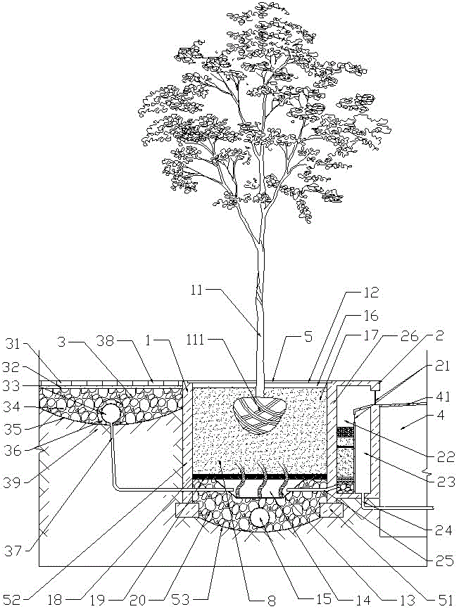 一种具有蓄排水装置的行道树树池的制作方法