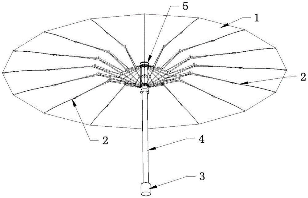 自动伞的结构和原理图图片
