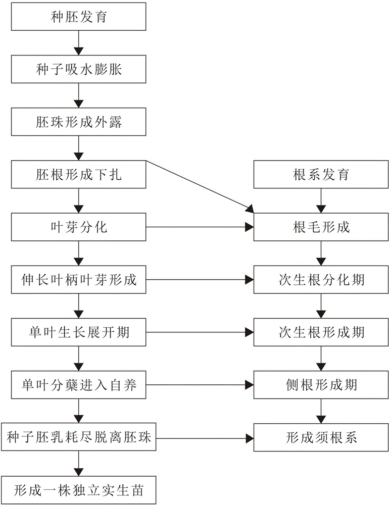 农业林业园林畜牧业肥料饲料的机械工具制造及其应用技术