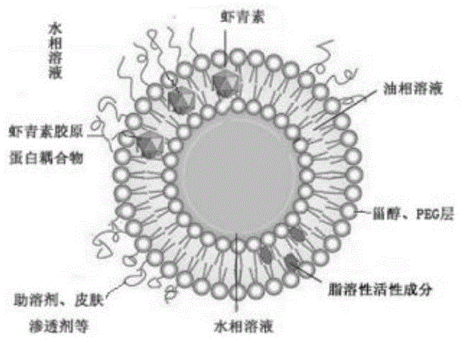 一种虾青素油脂质体组合物及其应用的制作方法