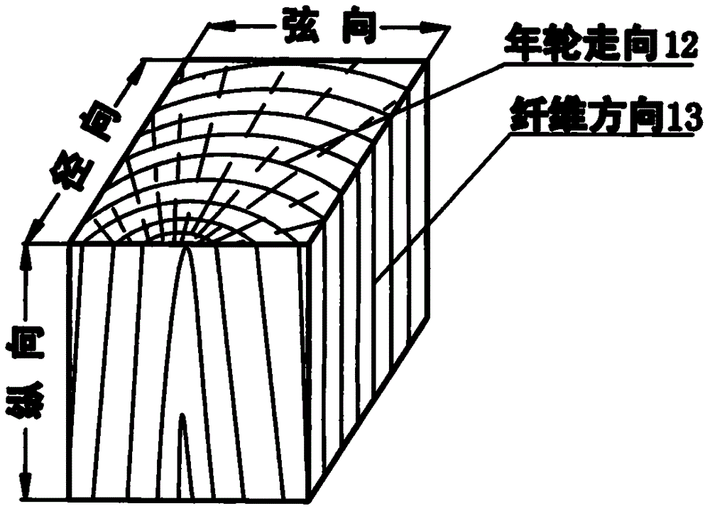 顺纹径向弦向示意图图片