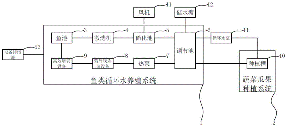 幼儿园鱼菜共生系统图片