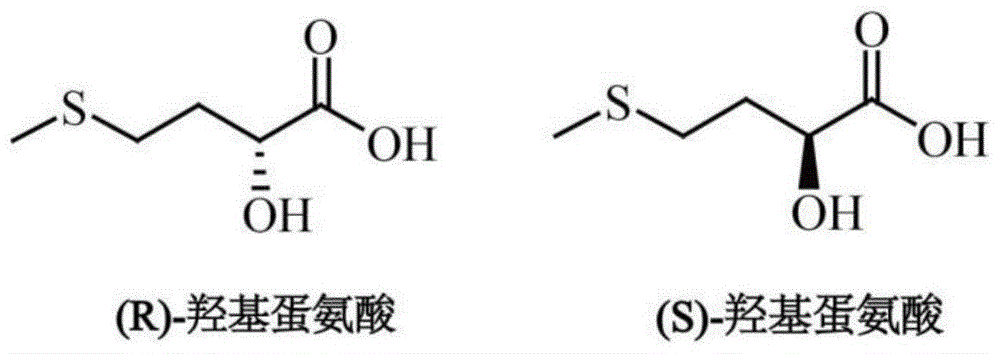 一种多酶级联生产rs羟基蛋氨酸的方法与流程