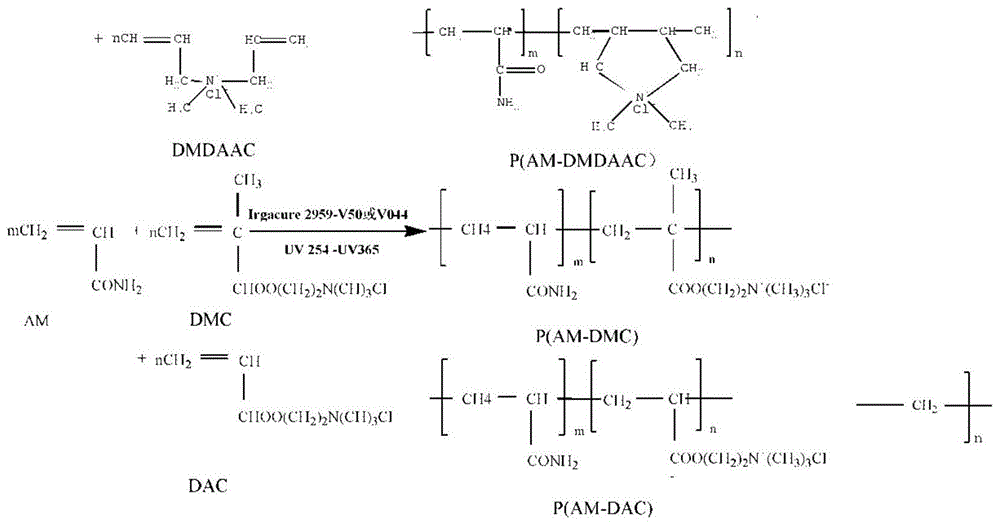聚合物的合成方法,具体涉及一种复合光引发制备阳离子聚丙烯酰胺的
