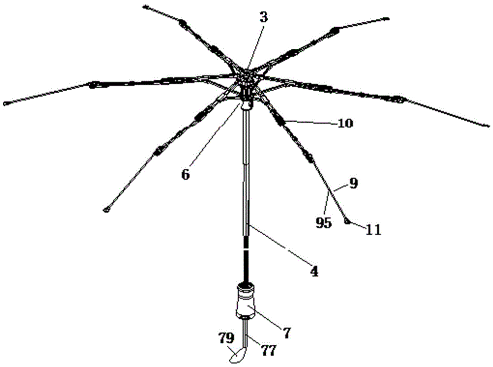 金刚伞结构图图片