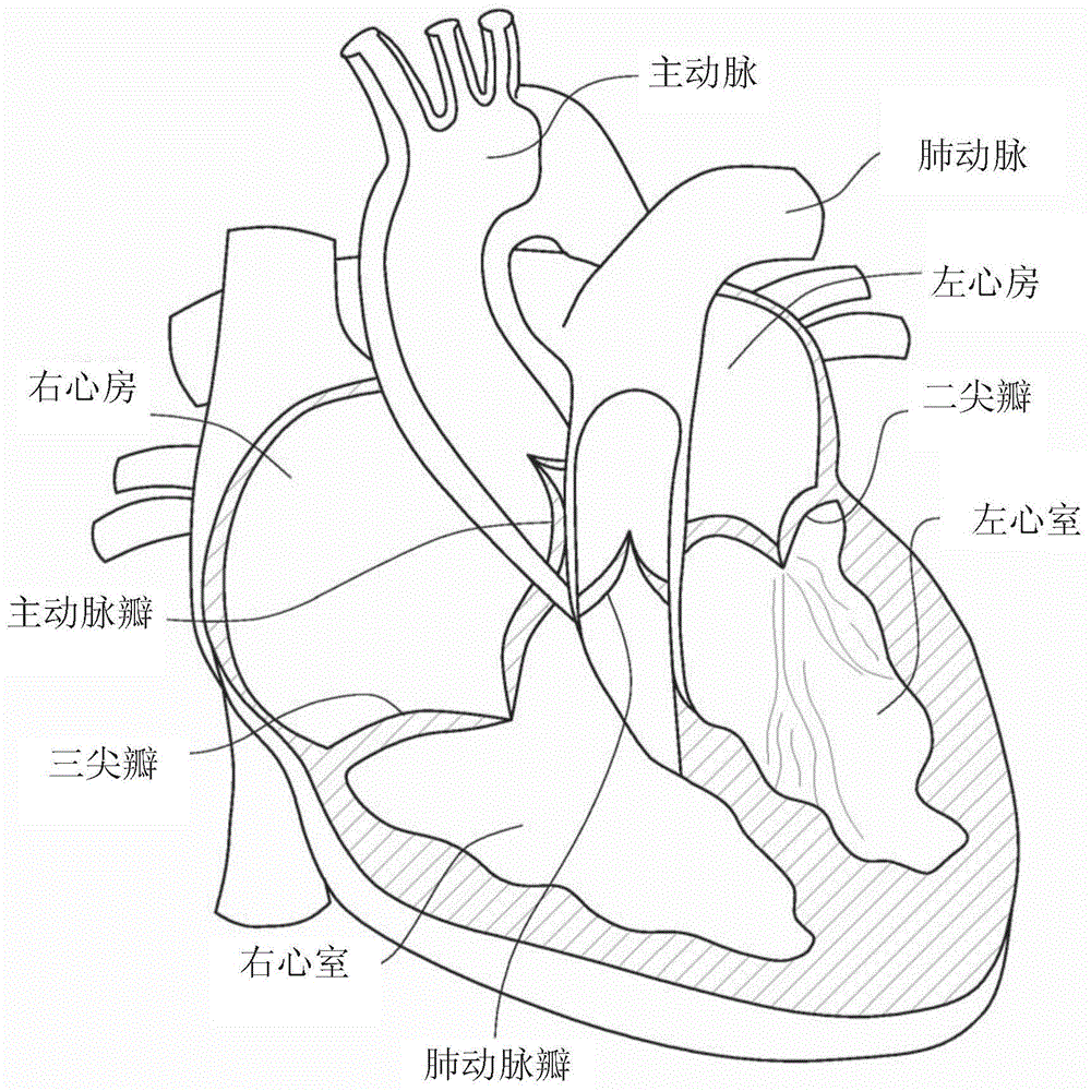具有可折叠保持器的假体心脏瓣膜的制作方法