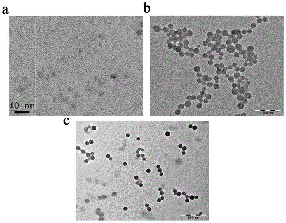 紫杉醇复合物纳米微粒,制备方法及其应用与流程