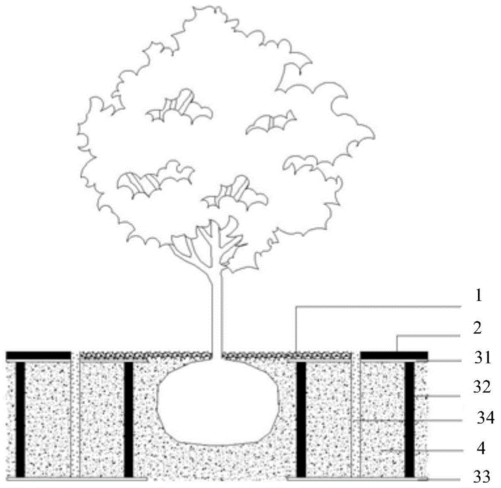 一种城市绿地行道树种植土壤的铺设结构的制作方法