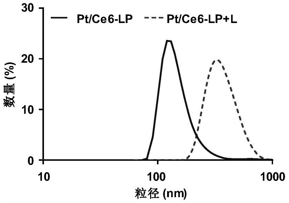 光敏脂質體及其應用的製作方法