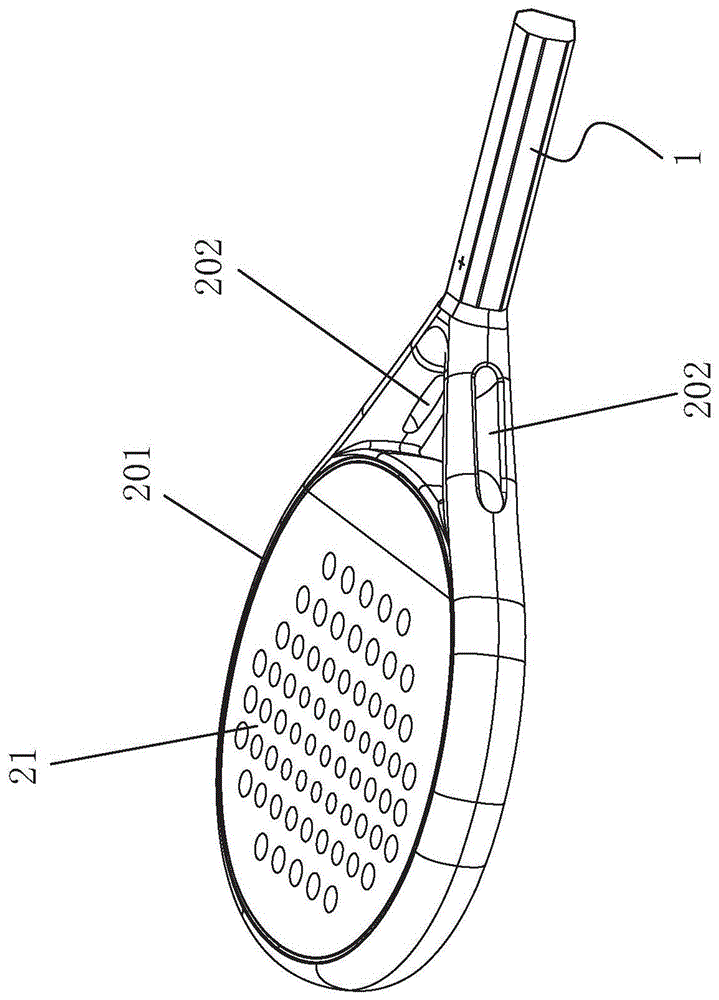 网球拍结构图解图片