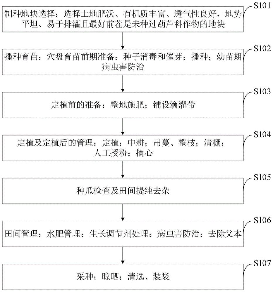 杂交育种流程图图片