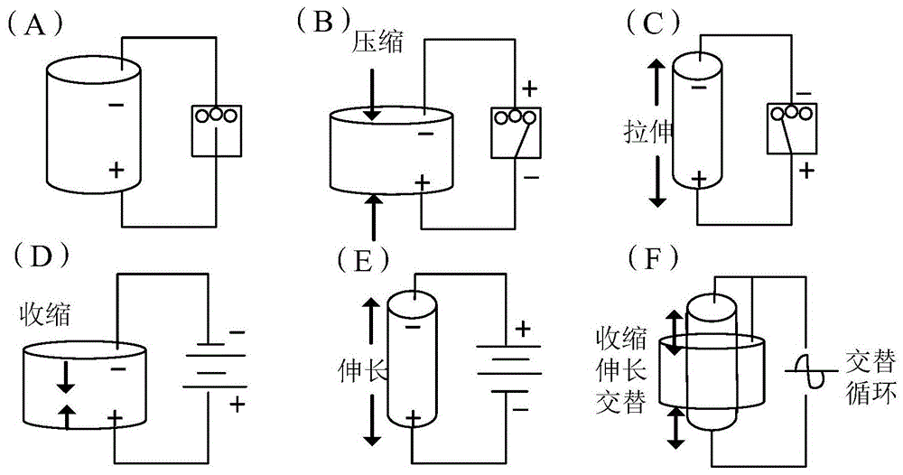 压电系数的测量系统及测量方法与流程