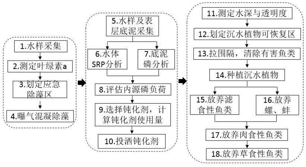 富营养化水体水华的应急与长效控制方法与流程