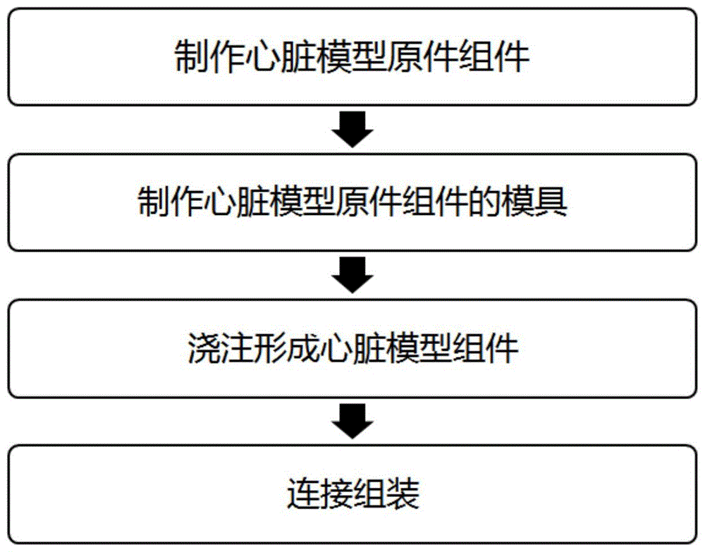 制作心脏模型 讲解图片